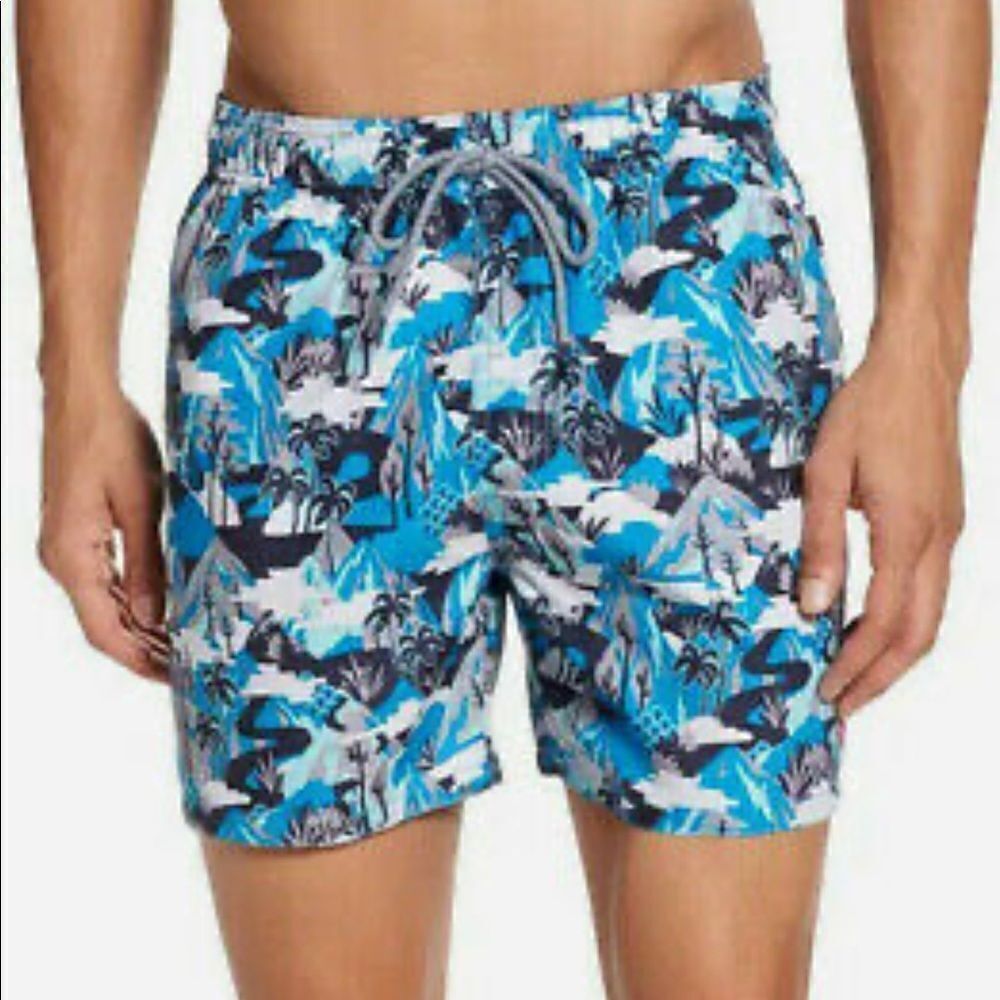 Ted Baker London swim/ Ted Baker Karner Mountain Print Swim Shorts, Men’s Size 5